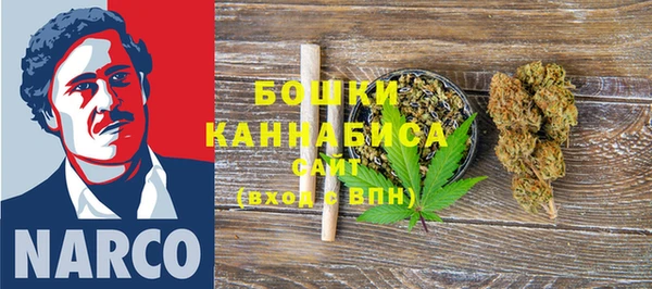 трава Кодинск