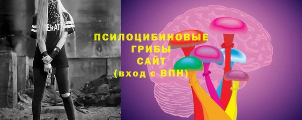шишки Корсаков