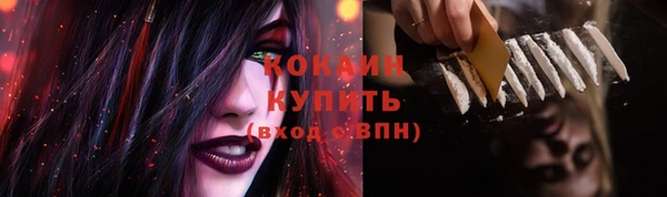 трава Кодинск