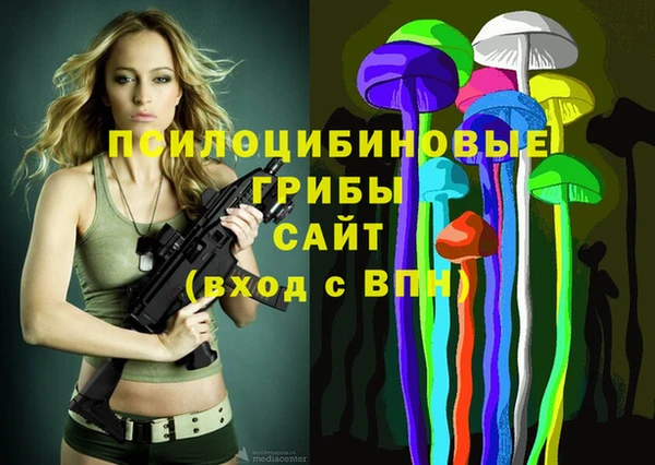 трава Кодинск