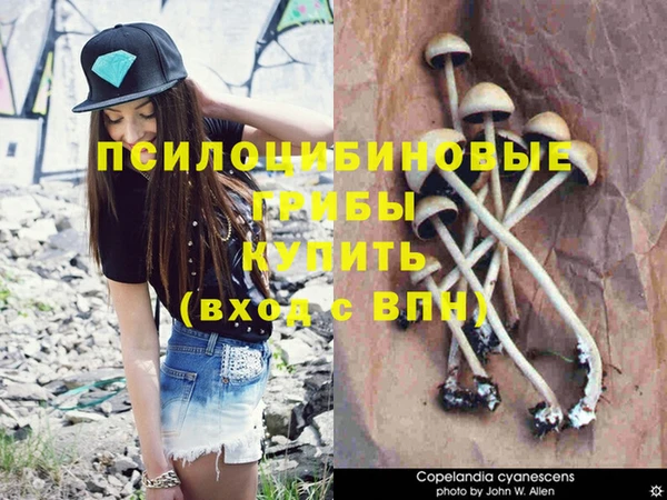 трава Кодинск