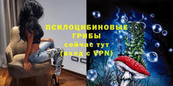 СК Козельск