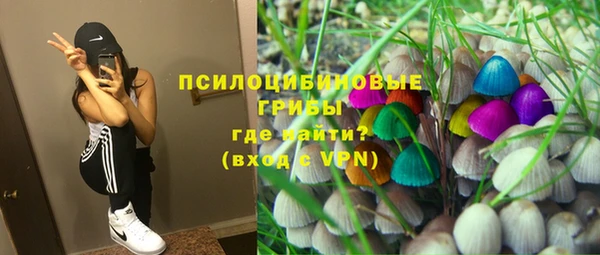 СК Козельск